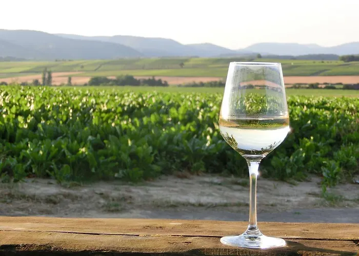 Cartoonwerkstatt * Kapellen-Drusweiler